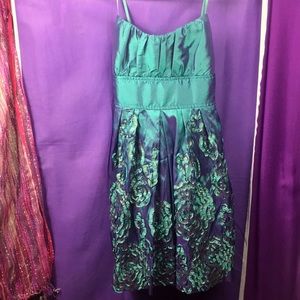 Beautiful Shimmery Iridescent Dress